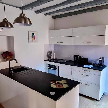Appartement De Charme Au Coeur De La Vieille Ville Annecy Dış mekan fotoğraf