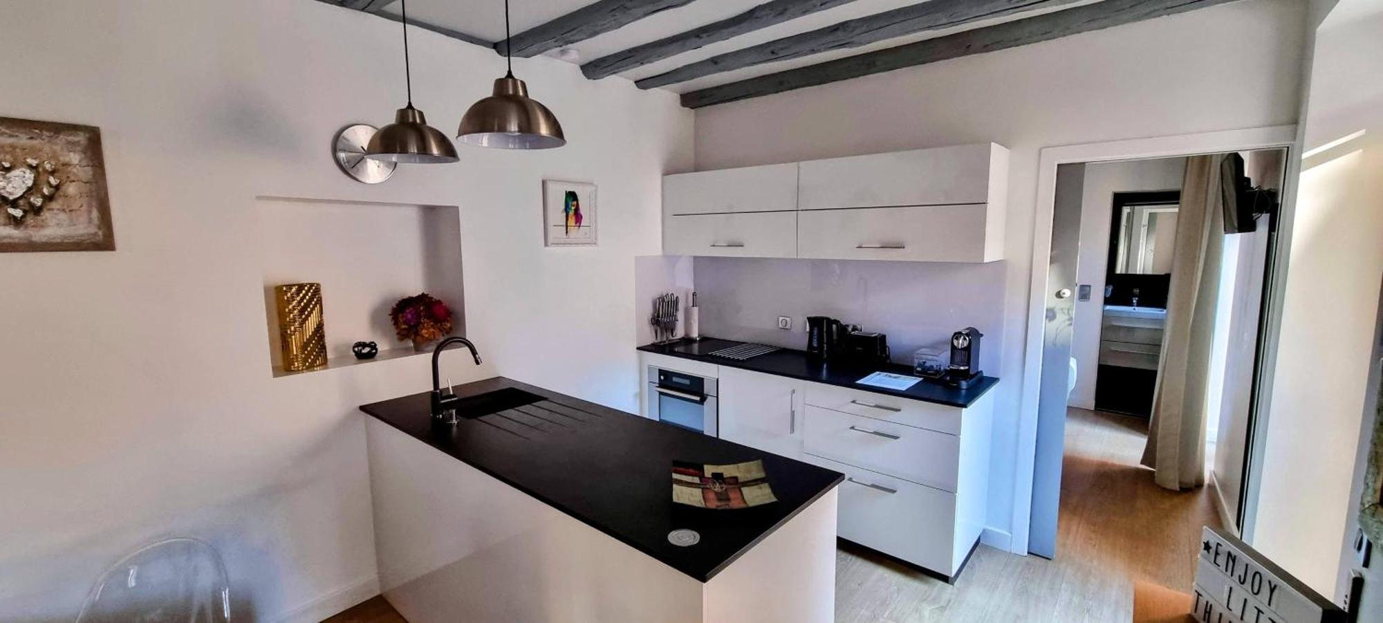 Appartement De Charme Au Coeur De La Vieille Ville Annecy Dış mekan fotoğraf