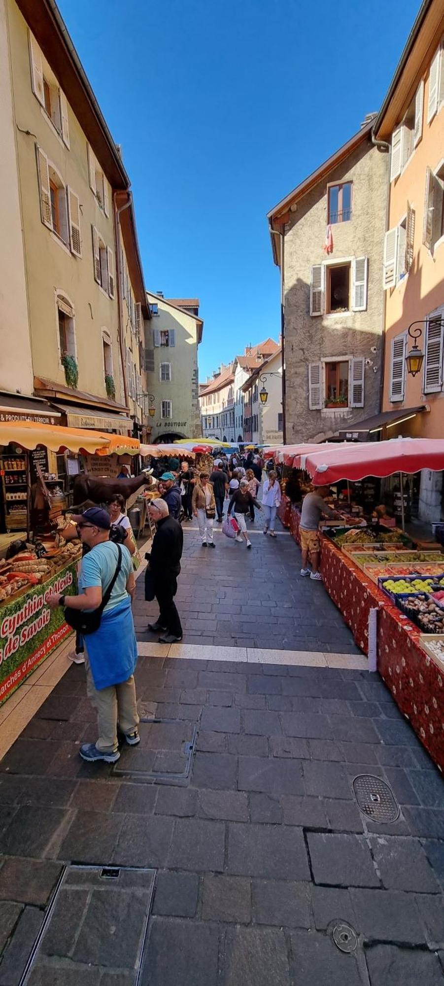 Appartement De Charme Au Coeur De La Vieille Ville Annecy Dış mekan fotoğraf
